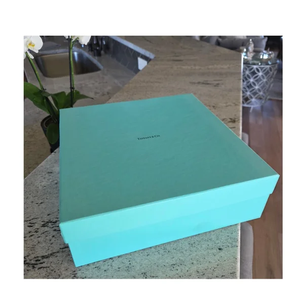 Tiffany & Co. Frame Weave Pattern White Bone China - Picture 7 of 8